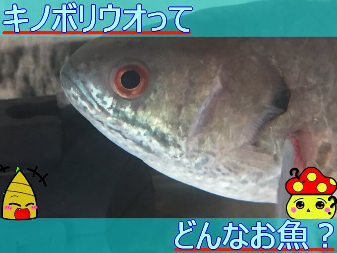 Thumbnail of post image 024